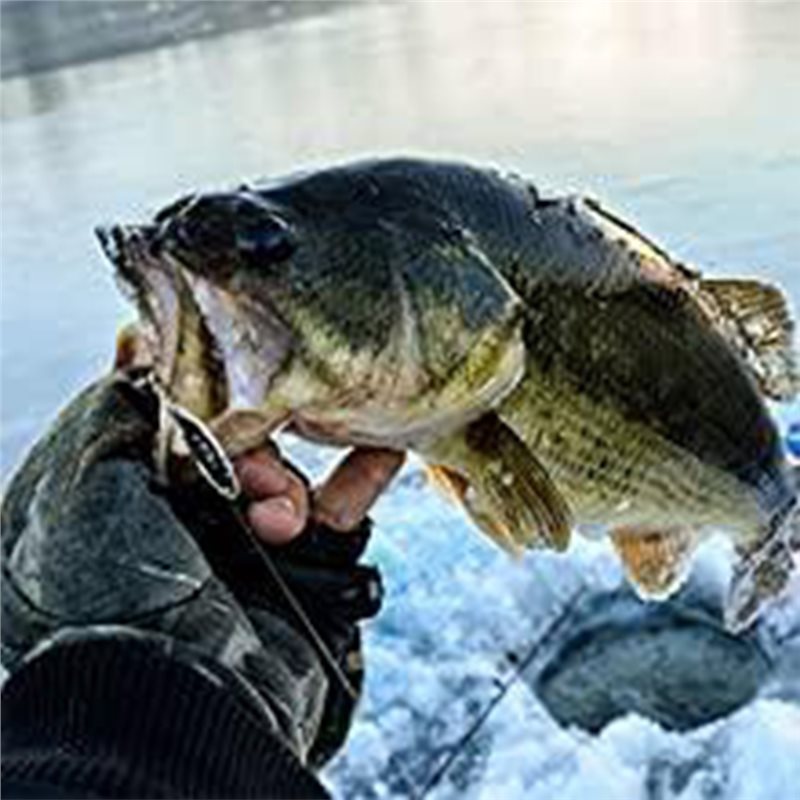 Fishing Boat Depth Finder - ABLB-Kajak Łódź Echosonda Przetwornik Przenośny Lokalizator
